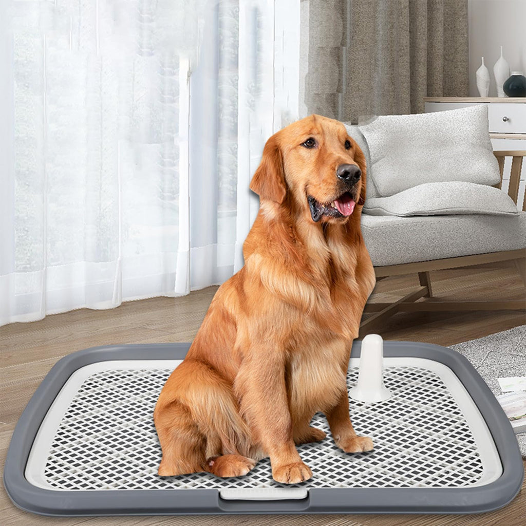 Dog Toilet Dog Potty Puppy Training Toilet Dog Potty Tray