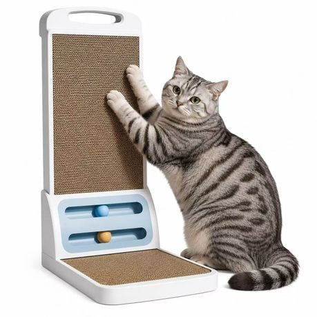 Cat Scratching Board with Ball Track Toy