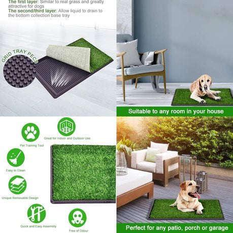 Indoor Dog Potty Tray with Artificial Grass/Black Frame